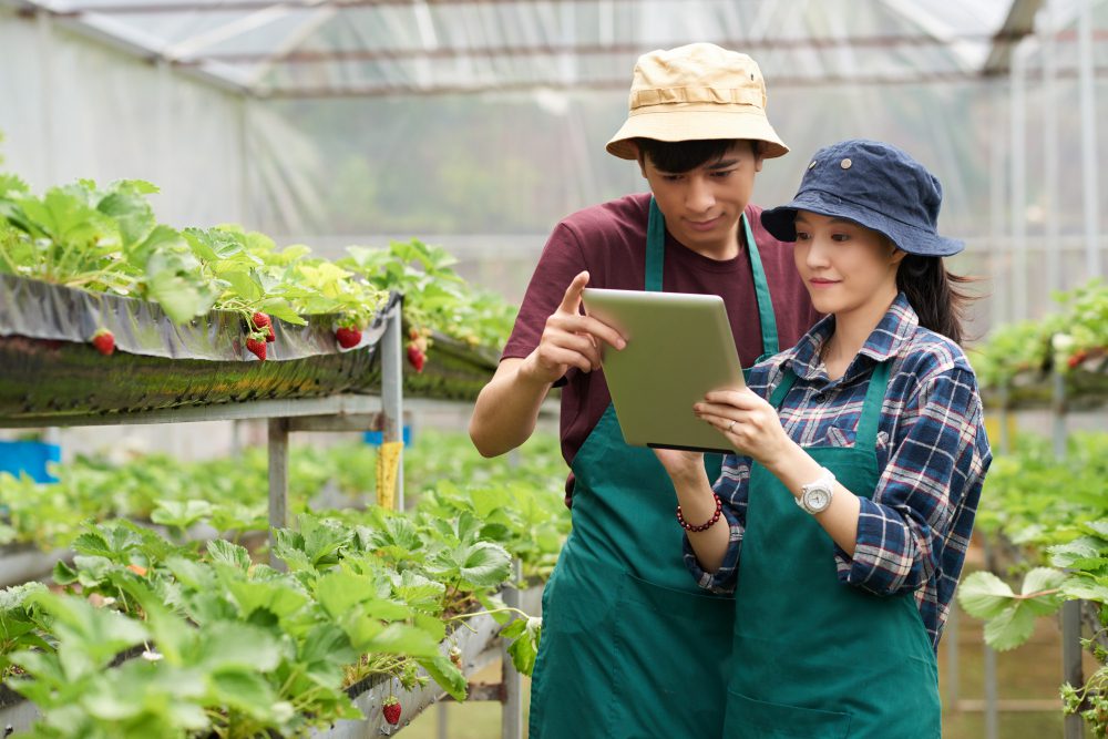 6 Prospek Kerja Agribisnis Yang Menjanjikan dengan Gaji Terbaik